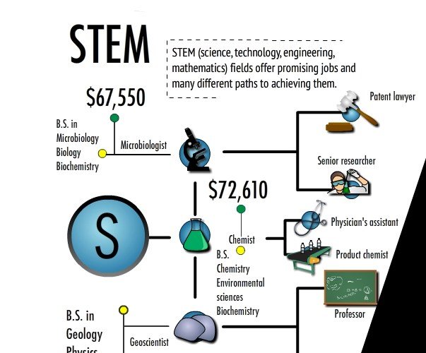 What Can I Do With a STEM Degree?  Ricochet Science