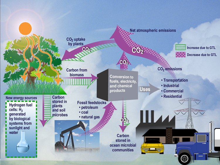 What does sustainability mean? Greenhouse gases.