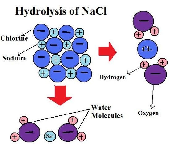What is the difference between hydration &  hydrolysis reaction?