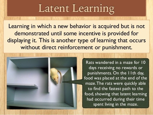 What Is An Example Of Latent Learning In Psychology