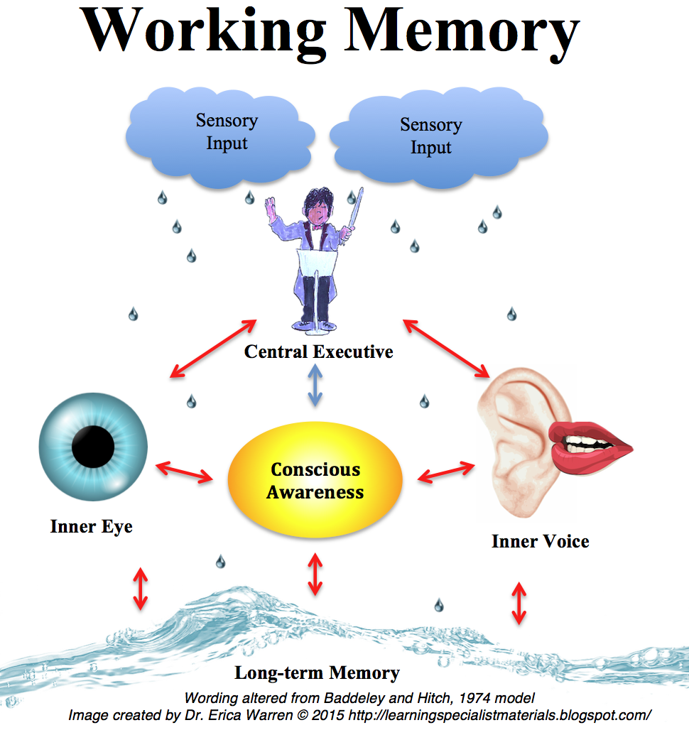 what-is-working-memory-in-psychology-tutordale